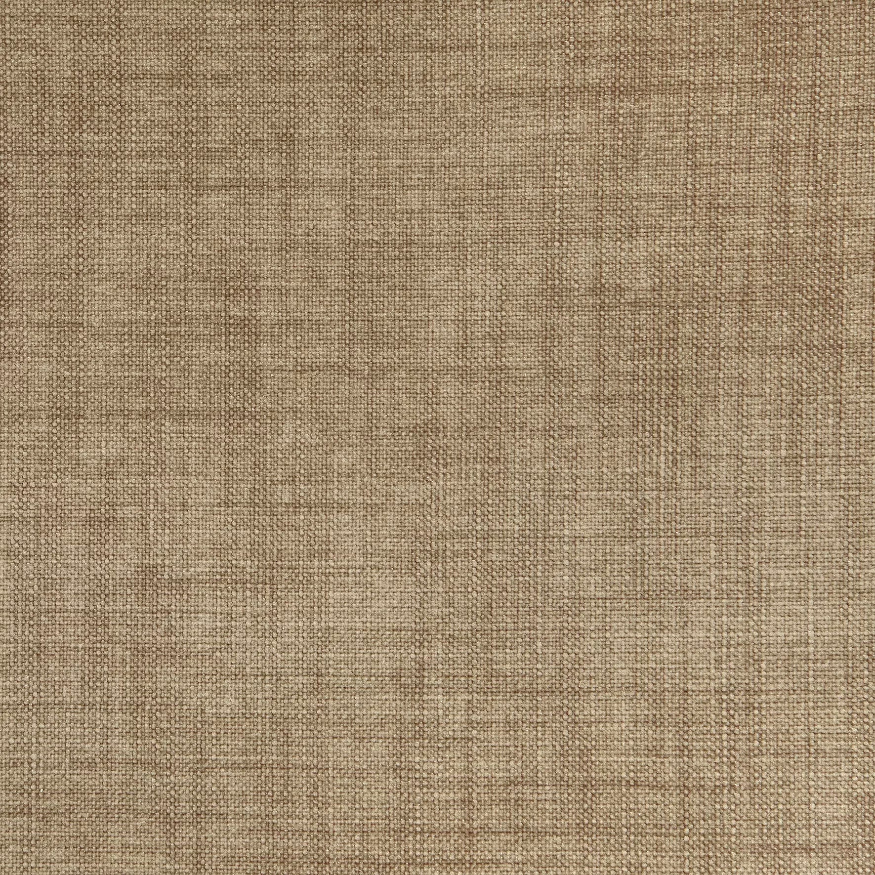 Taupe | Golden 24